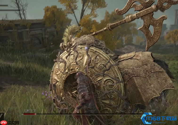 浪人武士刀终极指南：从居合入门到血月绽放