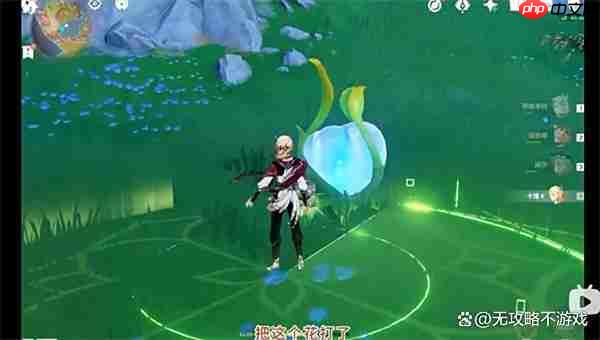 原神枫丹芒索斯山东瀑布下的宝箱解密指南