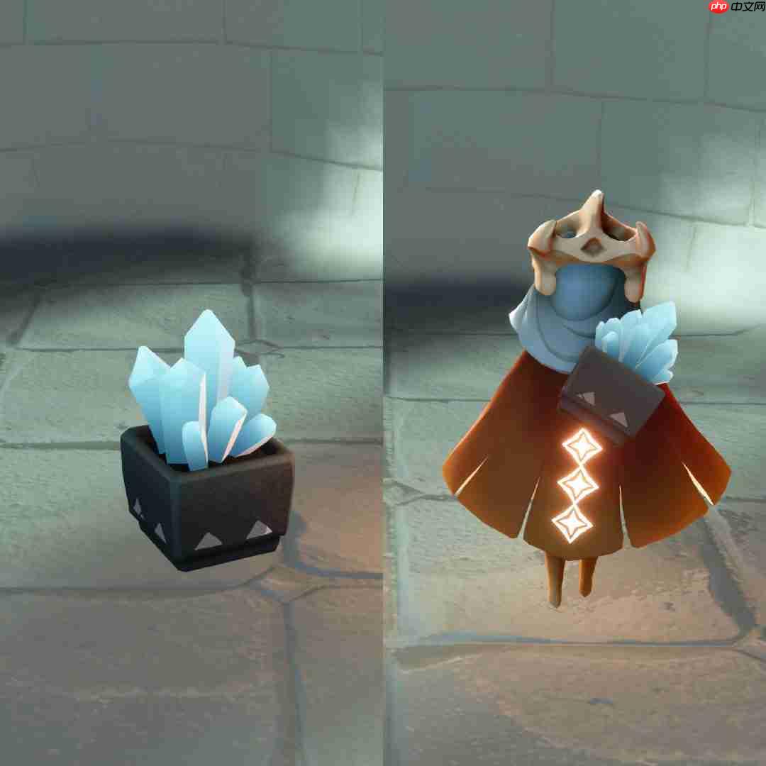 光遇雀跃地质学家兑换图2025-光遇雀跃地质学家先祖兑换表