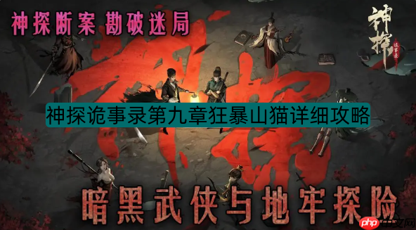 神探诡事录第九章狂暴山猫详细攻略