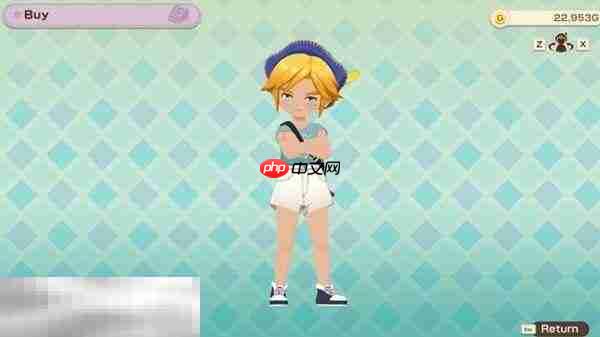 牧场物语风之繁华集市服装怎么获取 服装获取攻略