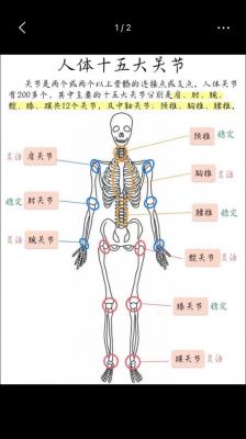 肩关节竟是人体的“旋转达人”，轻松转身让你惊掉下巴的秘密