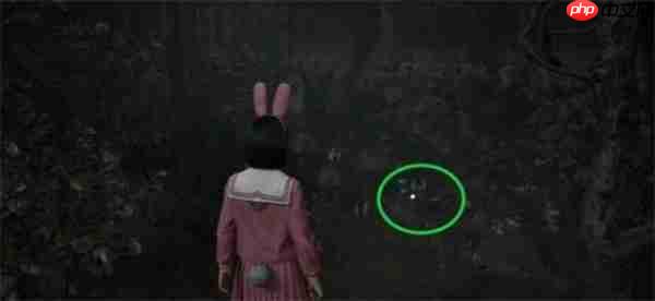 寂静岭f狐仙纹章箱子全收集指南