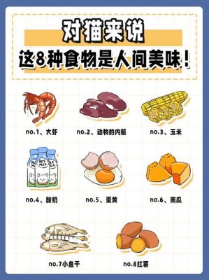 《动物餐厅》第13期鸡蛋食谱曝光，奇妙配方带来美味新体验，你准备好迎接食客了吗？