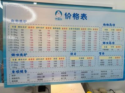 《摩尔庄园手游》推出馋嘴六角龙，11月4日-12月22日鲤鱼钓鱼活动等你来参加