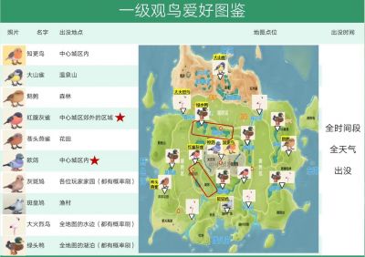 《心动小镇》观鸟全攻略：从草丛到鸟类分布一网打尽