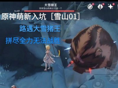 《原神》中大雪猪王肉的使用包括任务互动，开启你的角色美味之旅