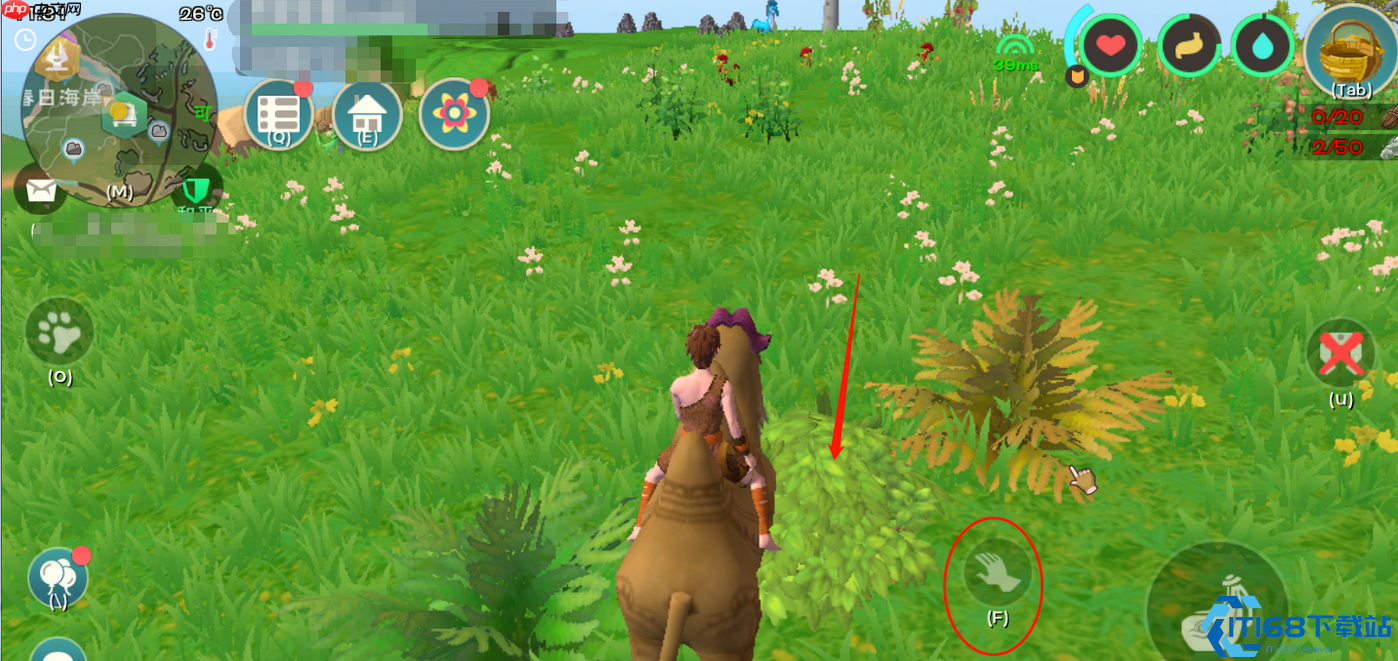 编织筐牧场物语：你的田园资源永动机