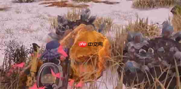 七日世界金矿点位大全