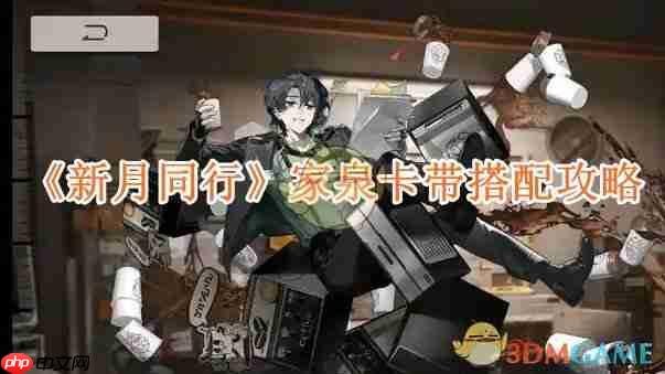 《新月同行》攻略——家泉卡带搭配攻略