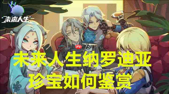 未来人生纳罗迪亚珍宝如何鉴赏