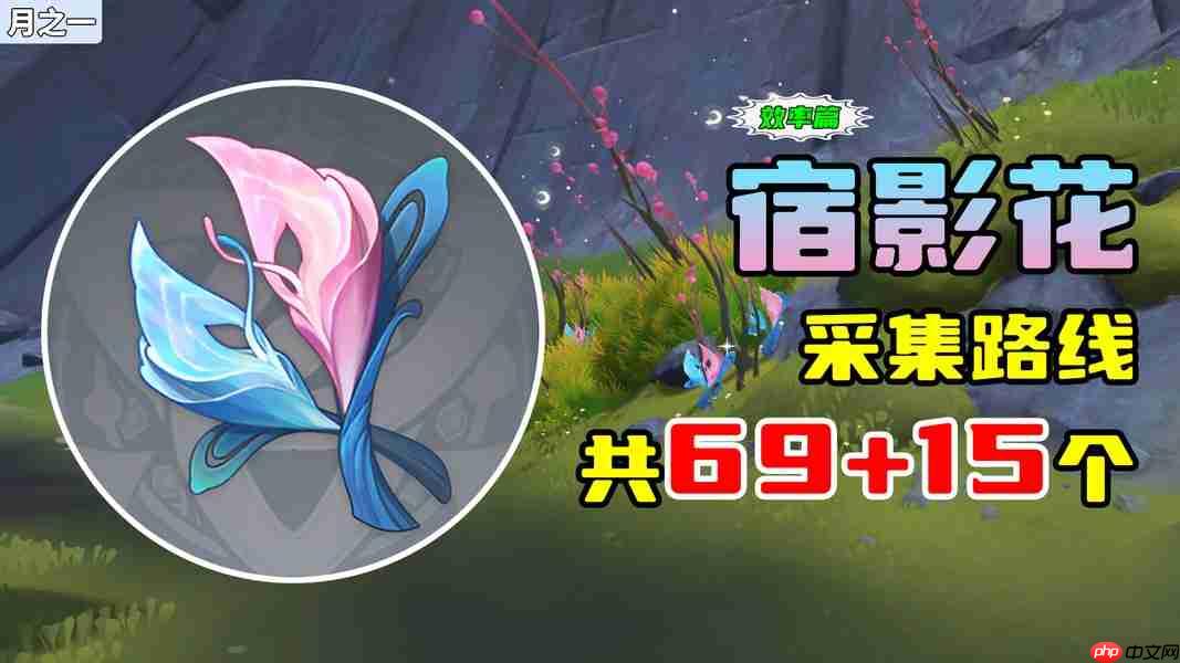 原神月之一版本宿影花采集路线