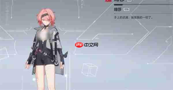 卡拉彼丘强势决斗角色选择推荐