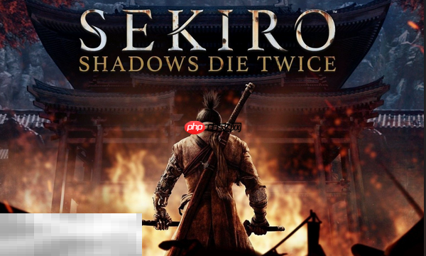 只狼影逝二度兑换码有什么 只狼影逝二度最新2025兑换码一览