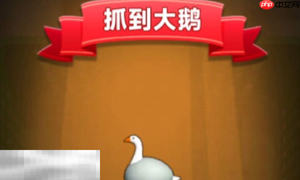 抓大鹅2025兑换码都有哪些 2025最新可用兑换码大全