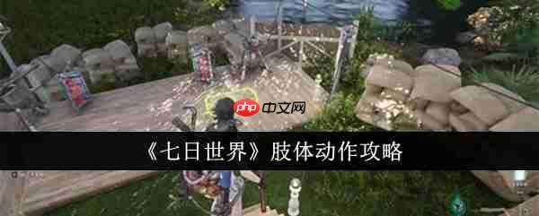 七日世界手游肢体动作怎么做 七日世界肢体动作攻略