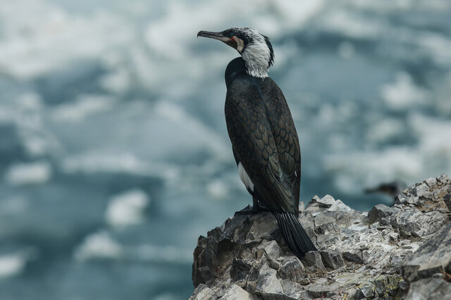 莆田十大海岛排名