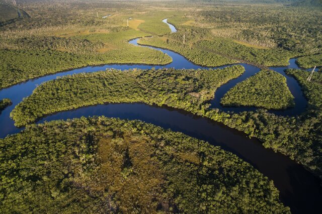 世界十大最美的森林