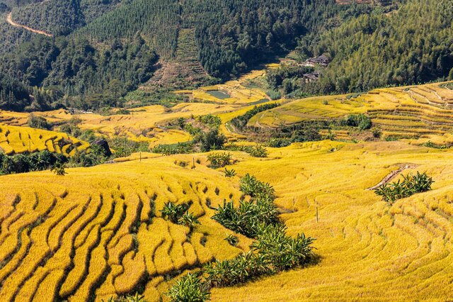 中国十大最美梯田