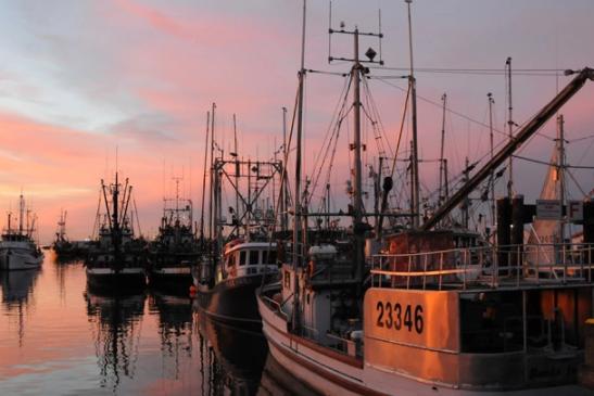 旧金山十大景点排行榜