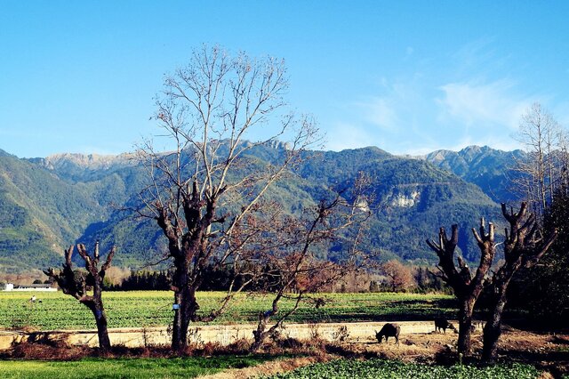 三江并流风景区九大景点