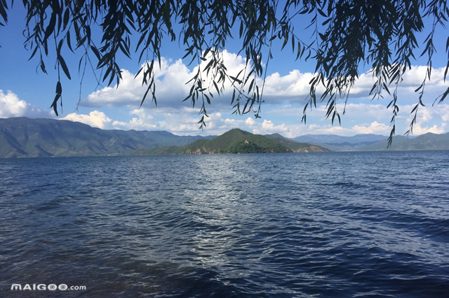 云南十大适合看星星的地方