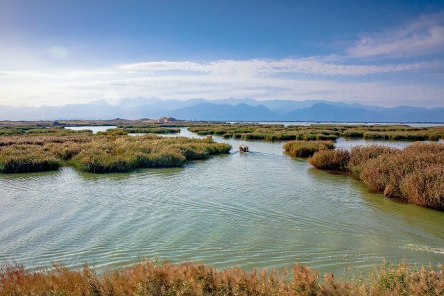 宁夏十大适合看星星的地方