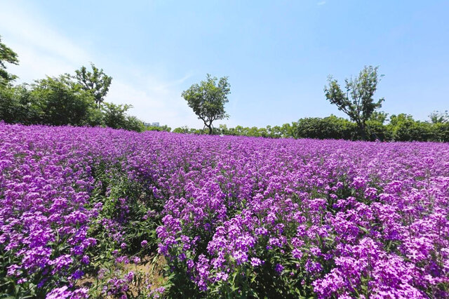 宁波11月旅游十大好去处