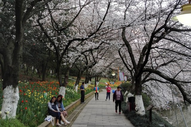 长沙11月旅游十大景点