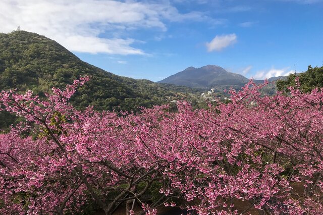 台湾十大适合春季旅游的地方