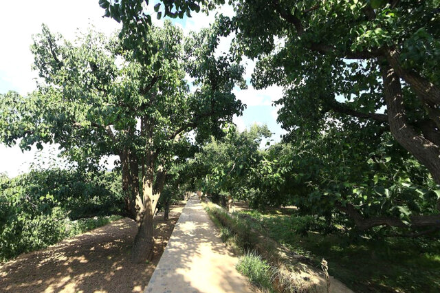 甘肃十大适合春季旅游的地方