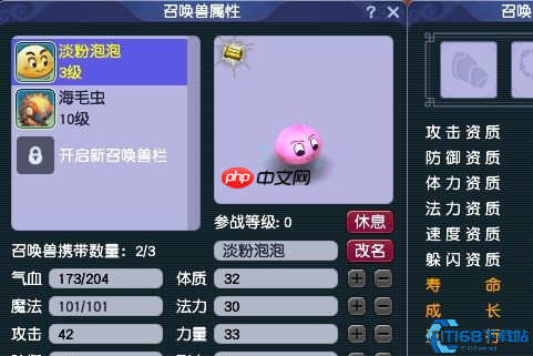 泡泡全攻略：战力飙升的萌系奥义