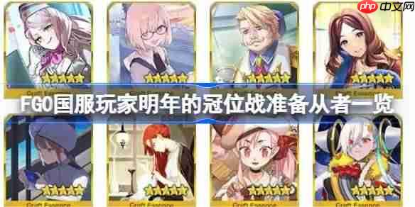 FGO国服玩家明年的冠位战准备从者一览-FGO国服玩家该为明年的冠位战准备些什么