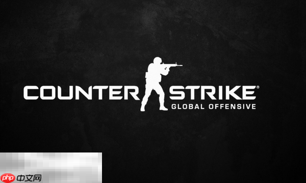Counter-Strike兑换码分享 反恐精英最新2025兑换码大全