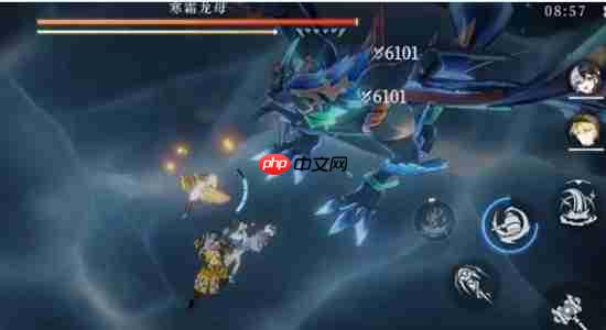 辉烬寒霜龙母打法指南