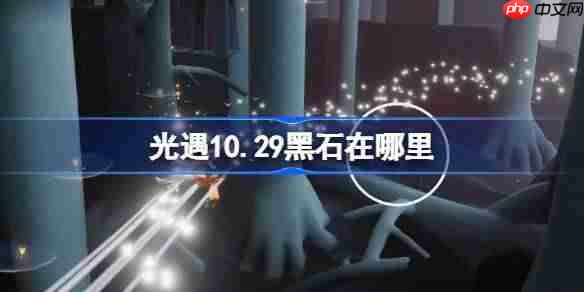 光遇10.29黑石在哪里-光遇10月29日黑石位置攻略