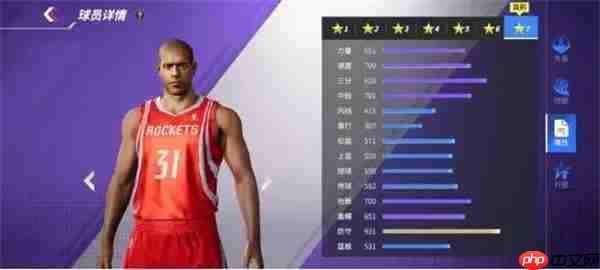 热血美职篮热火詹姆斯阵容推荐