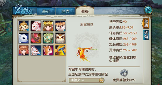 诛仙手游稀有喵呜在哪里