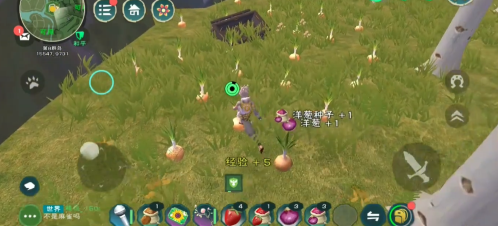 创造与魔法洋葱的位置在哪里 创造与魔法洋葱的位置在哪里