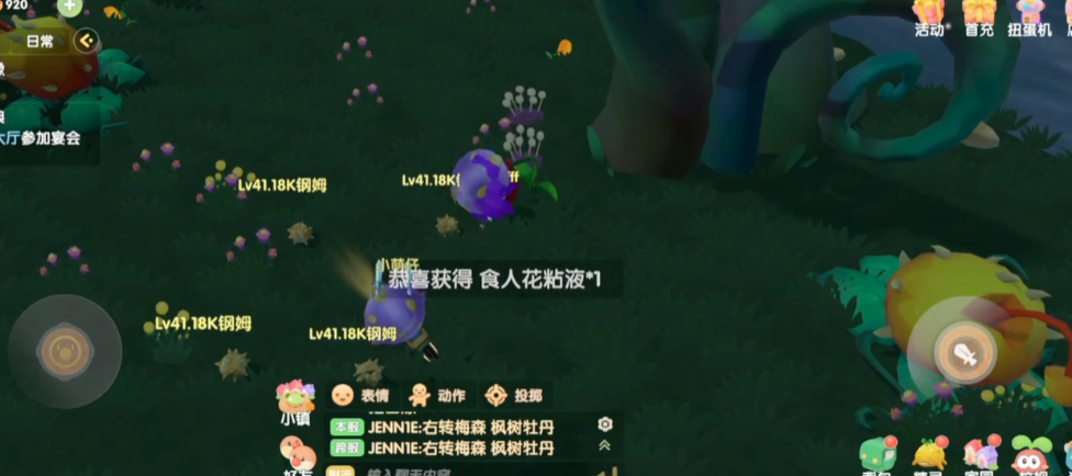 摩尔庄园荆棘丛林怎么采摘