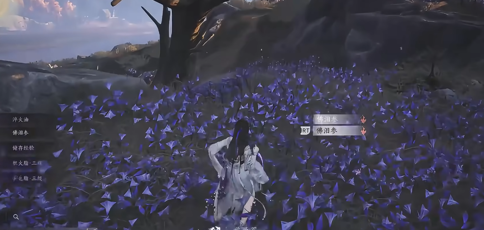 燕云十六声佛泪哪里最多