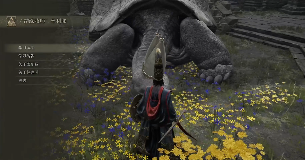 艾尔登法环法师学技能的地方在哪 艾尔登法环法师学技能的地方在哪