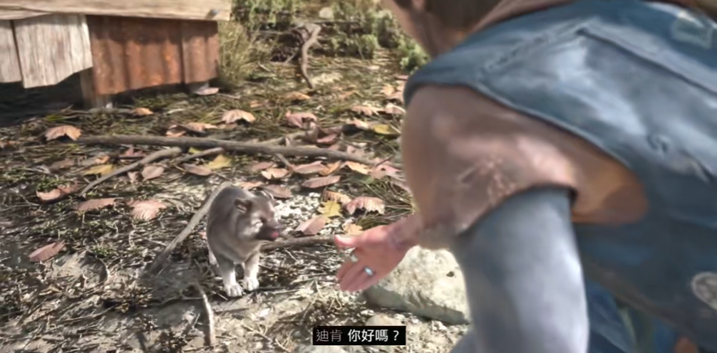 往日不再捕捉小狗怎么抓