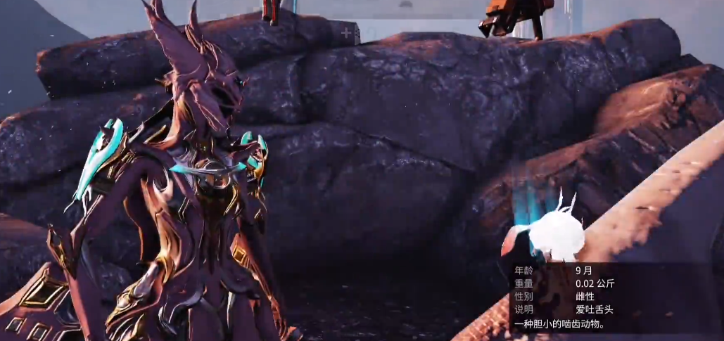 星际战甲地球怎么快速刷声望