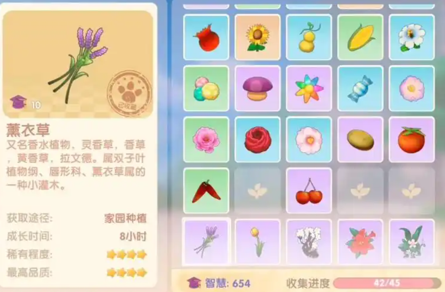 摩尔庄园薰衣草种子怎么买