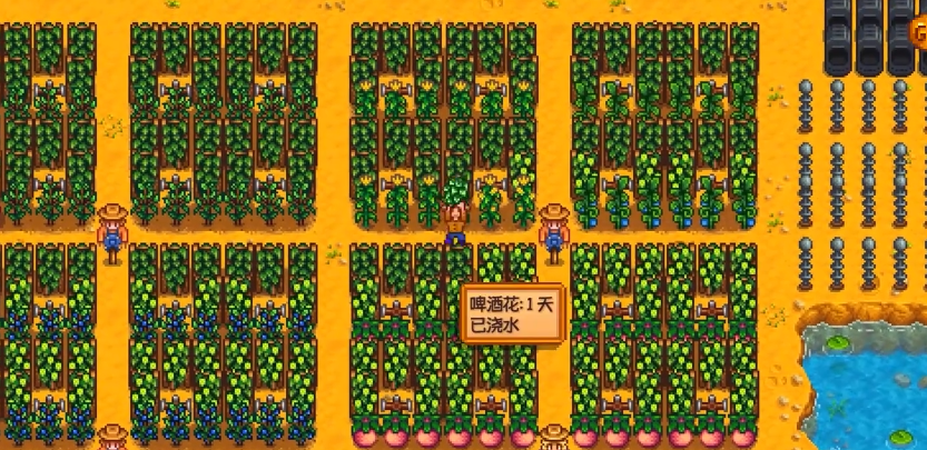 星露谷物语耕地等级如何快速提升