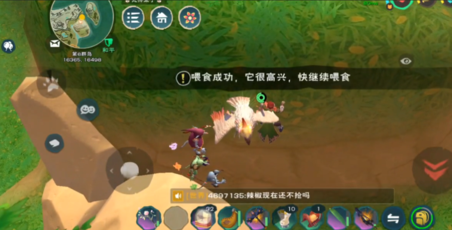 创造与魔法云斑鹦鸟饲料怎么做