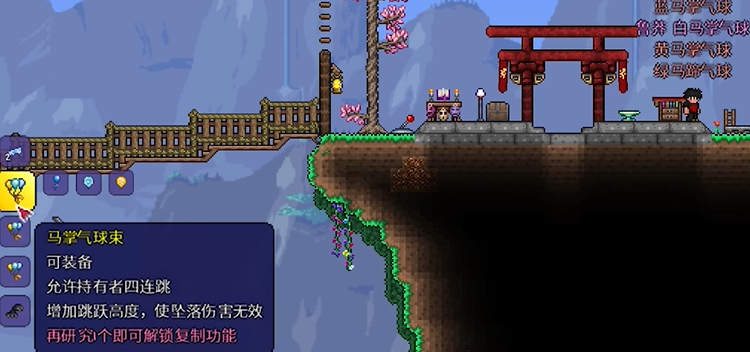 泰拉瑞亚最好的配饰是什么