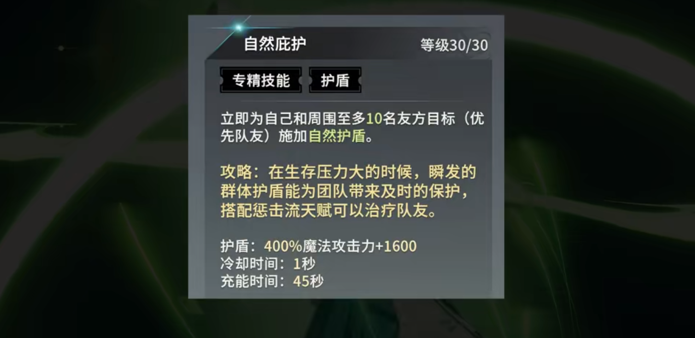 星痕共鸣森语者惩击流怎么玩 星痕共鸣森语者惩击流怎么玩