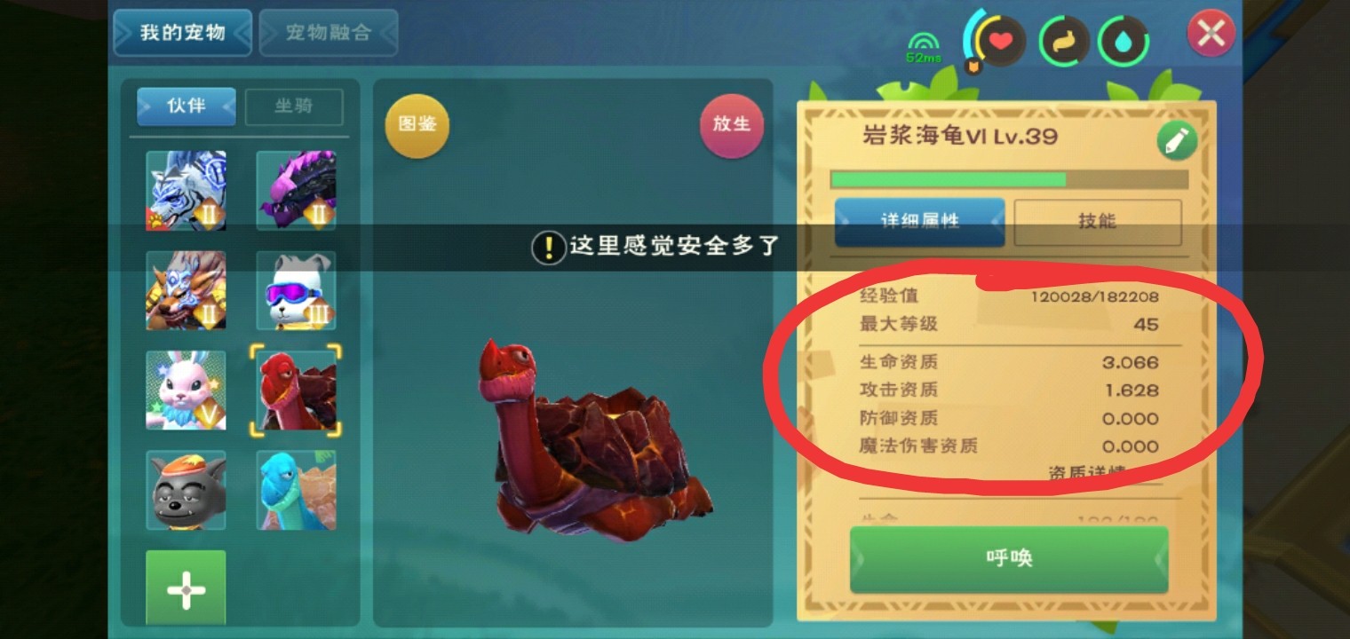 创造与魔法火龟吃什么